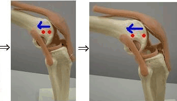 膝の屈曲運動2